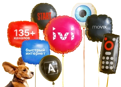 Услуги Дом.ру в Кузьмино